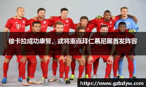 yy体育
