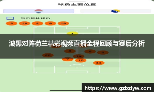 波黑对阵荷兰精彩视频直播全程回顾与赛后分析