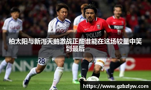 易游体育